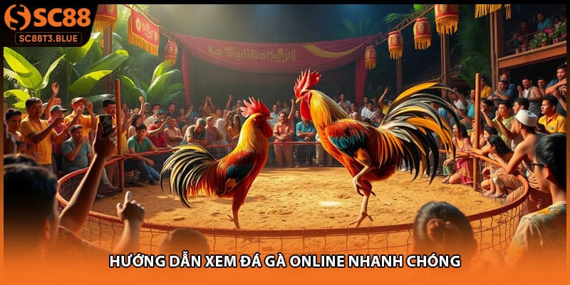 Hướng dẫn xem đá gà online nhanh chóng